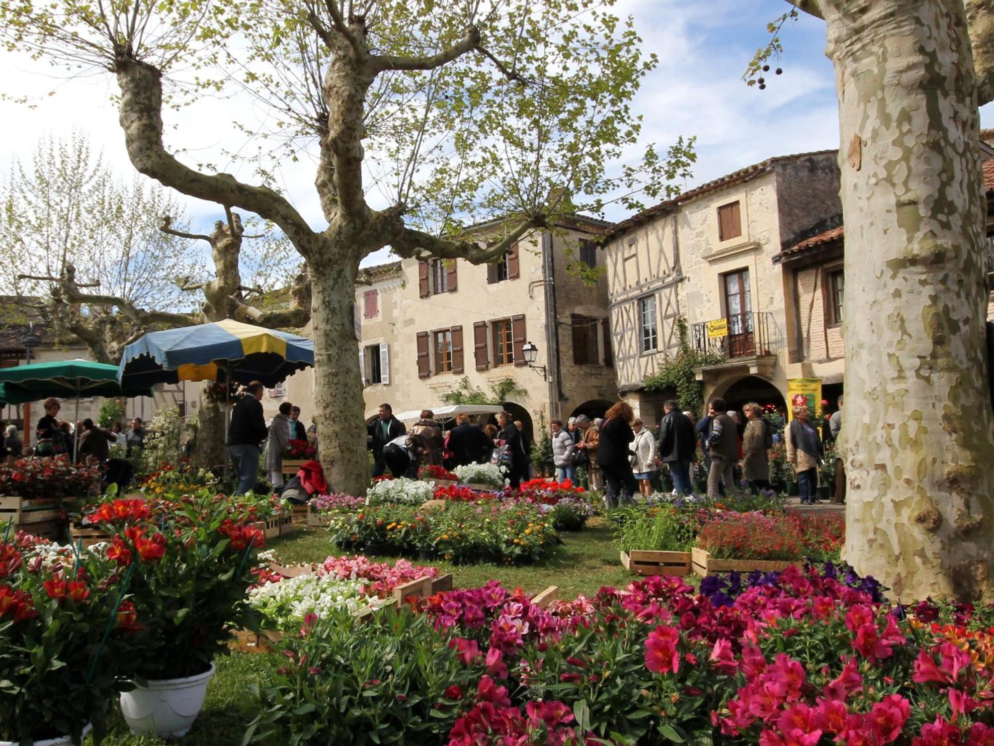 Maison La Cloche Fourcès Dış mekan fotoğraf